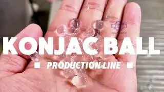 full automatic konjac ball depositing production line for bubble tea