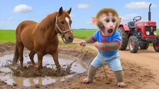 Beb&eacute; mono NaNa conduce un tractor y rescata a un caballo atrapado en el lodo  🐵✨