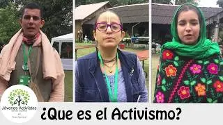 &iquest;Que es el activismo?