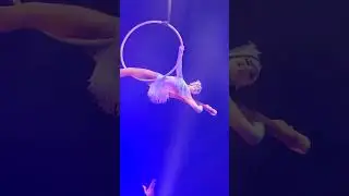 Daring Aerial Sky Ring! 🎪✨ Amazing Circus Vargas Performance!