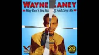 WHY DONT YOU HAUL OFF AND LOVE ME--WAYNE RANEY