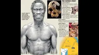 Haplogroup A - The Genetic Search For The Descendants of Adam