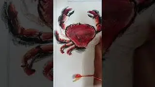 Crab #drawing#colour pencil and oil pastel#shots🦀🦀