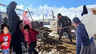 The love life of Khosrow and Sakineh: Cooperation in cleaning the sheepfold