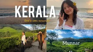 Explore Kerala with us 2025 #kerala #viral #munnar #youtube #vlog 