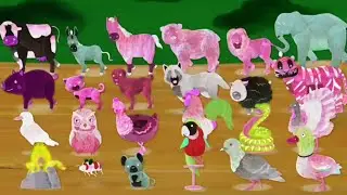 Let's Explore The Sound Of Animals Effects //Sponsored By Gamavison Csupo Effects 