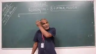 BBA 4TH SEMESTER   26/06/2020