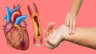 What Is A Dangerous Heart Rate?