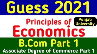 Guess principles of economics BCom1 ADP Commerce Punjab university Annual examination 2021