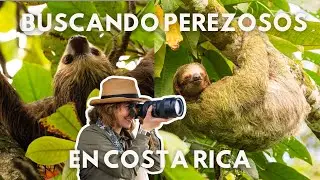 El día que vi más PEREZOSOS 🦥 | Caribe de Costa Rica