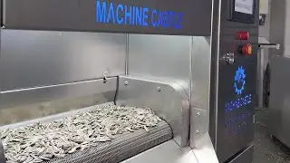 Nuts and Seed Roaster - www.machinecastle.com