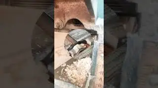 Wood Planer Machine #shortsfeed #shorts #shortvideo #ytshorts #youtubeshorts #furniture