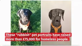 Rubbish pet portraits: Wonky critters raised &pound;75,000 for homeless charity