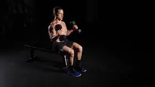 Seated Hammer Curl