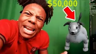 iShowSpeed BUYS A $50,000 Robot Dog