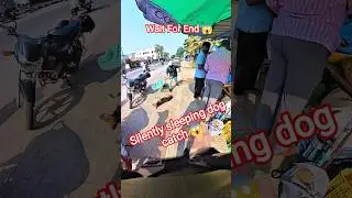 Street Dog Attack Kids Amazing Catcher #dog #dogwithpublicsafety #amazing #attack #shorts