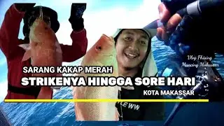 Strike & Panen di Sarang Kakap Merah Hingga Sore Hari
