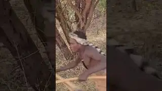 The Deadly Arrow Strikes the Thirsty Deer&lrm;.#shorts #foryou #hunting