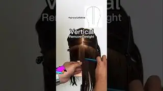 Hair section name  💇&zwj;♀️ #youtubeshorts #share #hair