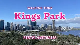 Kings Park Walking Tour - Perth, Australia #perthaustralia #perth #westernaustralia #kingspark