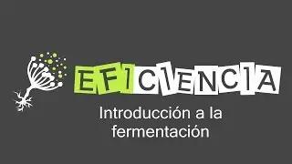 INTRODUCCIÓN A LA FERMENTACIÓN. Anaerobia Alcohólica Láctica Ácido mixta