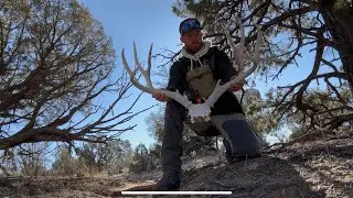 JANUARY HENRY MOUNTAIN || SHEDICATED OUTDOORS