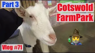 COTSWOLD FARM PARK CAMPSITE ADAM HENSON Ep3 over NewYear