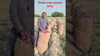 Ist success story of 2024 onion export from pakistan