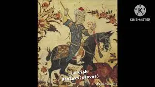 Turkish slaves in India 800 years history in India Turks great ancestors Mamluks (slaves)