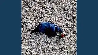 YOUR FLOWERS