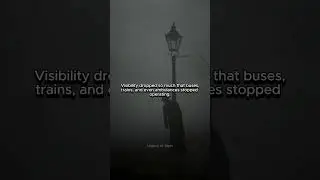 The Deadliest Smog in History: London 1952  #history