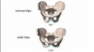 narrow hips subliminal