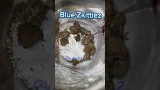 Blue Zkittlez