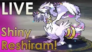 LIVE Shiny Reshiram after 1407 RAs in Pok&eacute;mon Black!