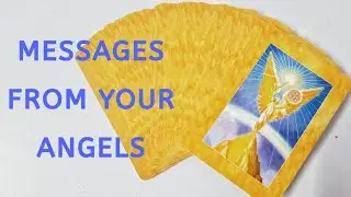 Messages from your Angels 😇🙏💖💜 Angel Card Readings ❤️😇 Angel Card Reading Love 💙 Fortune