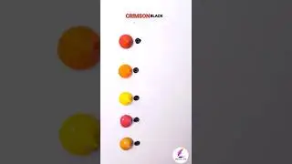 You Won't Believe What Happens When You Mix These 5 Colors with a hint of black? 🎨✨Satisfying