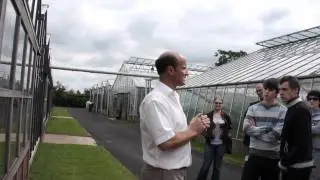 David Austin Roses 2011 - Einblicke in die Rosenz&uuml;chtung