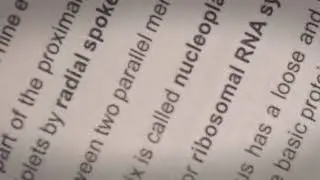 #Shorts👉 NEET 2021 👉one shot   👉last days revision  👉1.Cell the unit of life #NEET 2021 #important