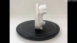 41 Partial denture framework