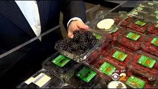 Fresh Grocer: Picking The Best Blackberries