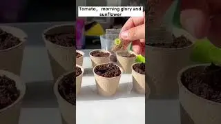 Mini Garden for home #cool  #gadgets #Gadgets World