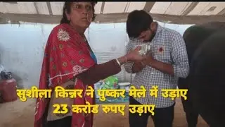 सुशीला किन्नर ने पुष्कर मेले में 23 करोड़ की बोली लगाई पैसे देखकर भैंसे के मालिक के उड़े होश