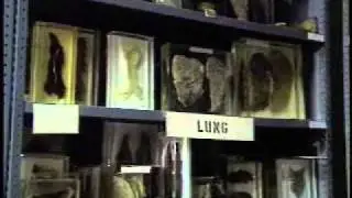 Robert Riggs Reports on Bizarre Army Medical Museum 1988