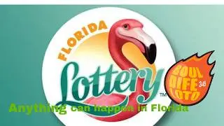 Florida Lottery 13 FEV 2026 💰 R&eacute;sultats & Strat&eacute;gies Financi&egrave;res | Investir vos Gains comme Pro