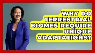 Why Do Terrestrial Biomes Require Unique Adaptations? - Explaining Ecology