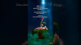 #Life quotes #Family quotes #Shorts #Tamil thoughts status