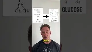 Protein vs Carbs: What is the Right Ratio for Muscle Growth?
