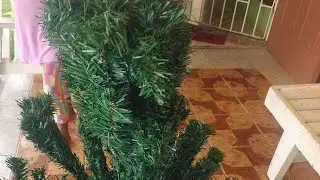 welcome to our Christmas tree lighting