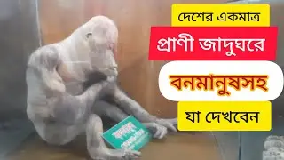 প্রাণী জাদুঘরে বনমানুষ-চিতাসহ যা দেখবেন | Animal Museum | Dhaka | zoo