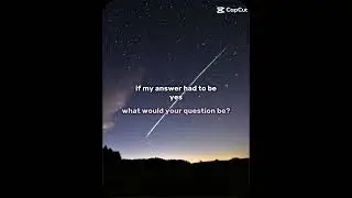 If my answer had to be 